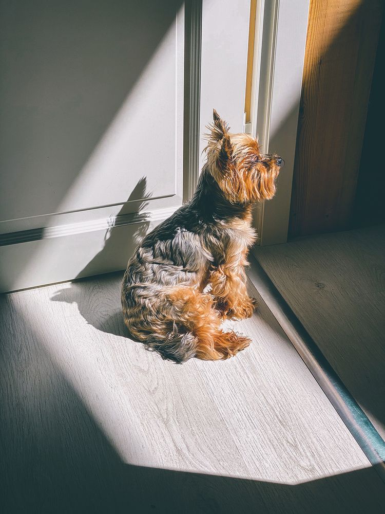 Photograph by Юлия Гончарова