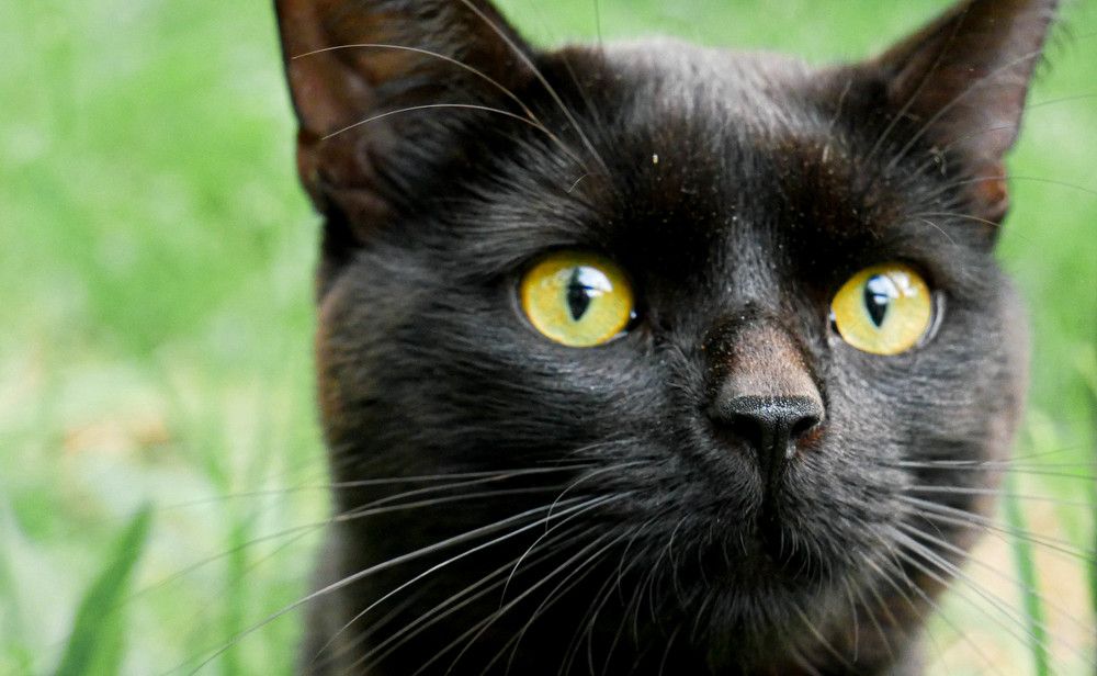 Photograph by Виктория Максюта