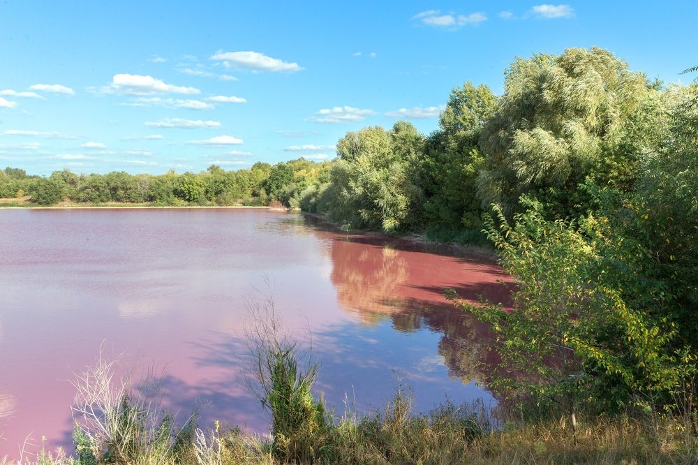 Photograph by Владимир Салапонов