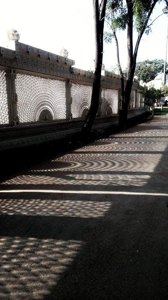 Photograph by sandhya kudli