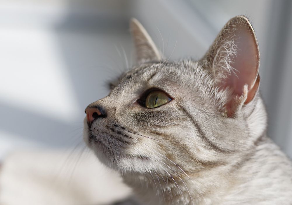 Photograph by Сергей Челахов