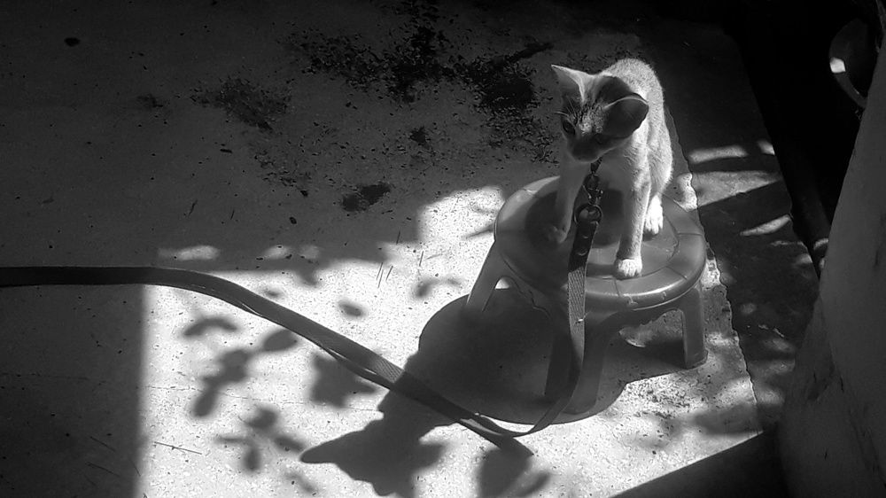 Photograph by Hau Tran Trung