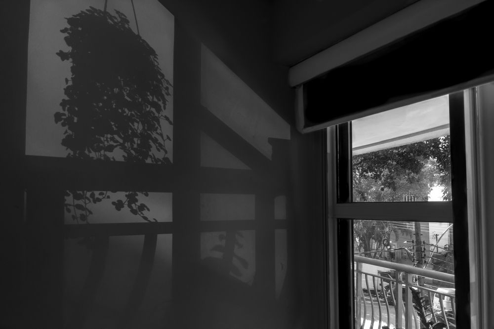 Sombras Cotidianas