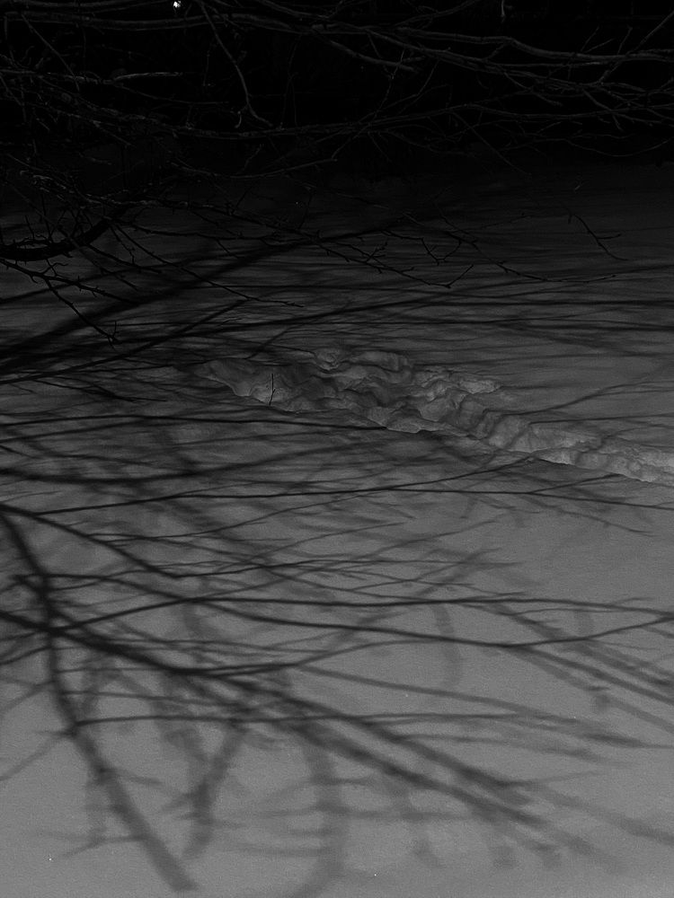 Photograph by Елизавета Байкова