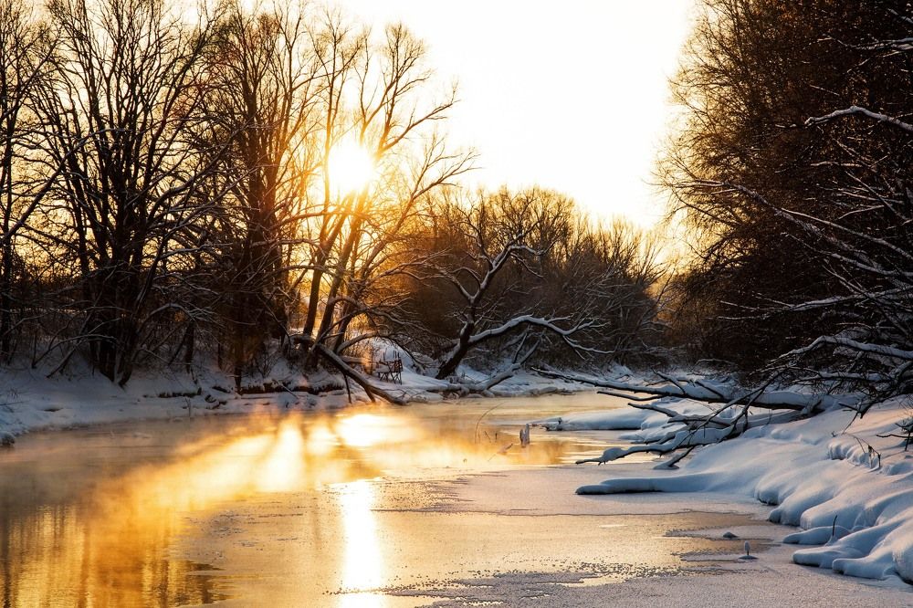 Photograph by Елена