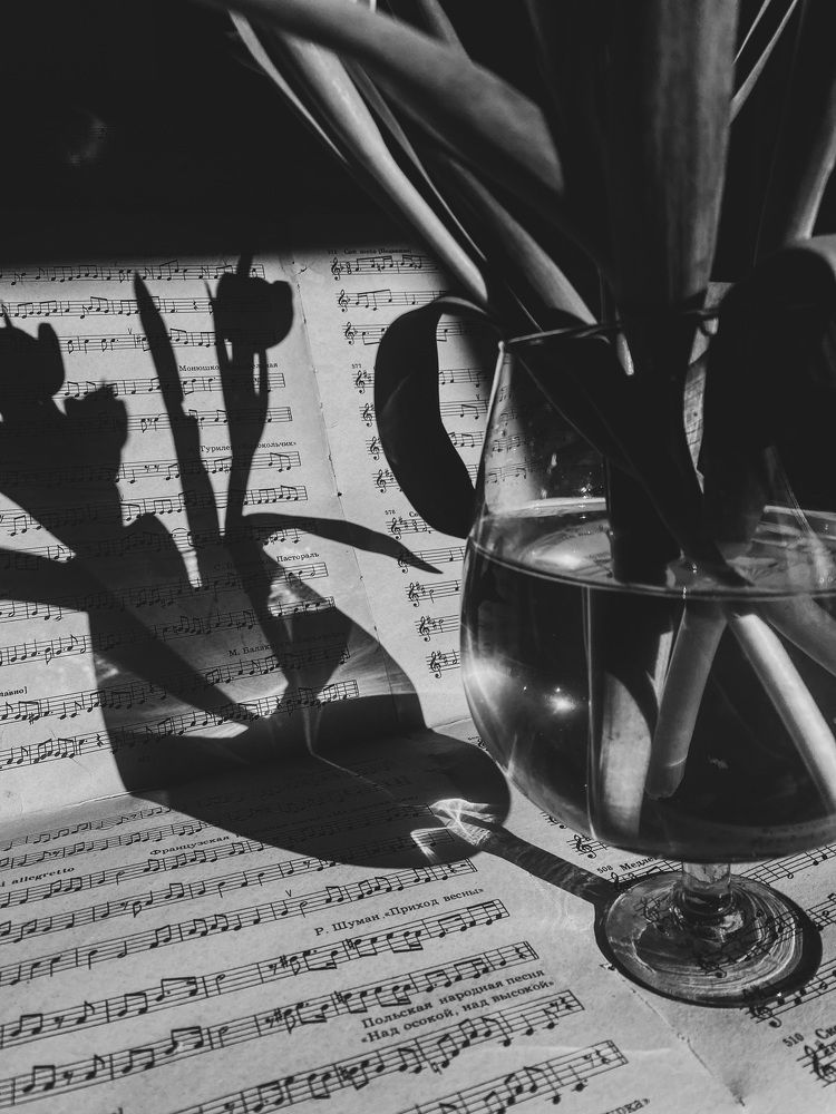 Photograph by Елизавета Байкова