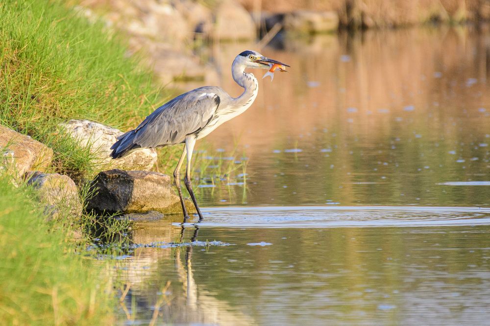 Photograph by Илья Зускович