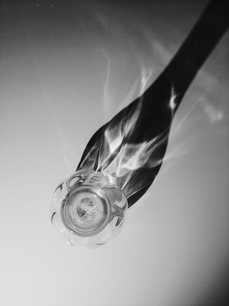 Photograph by Александра Пургаева