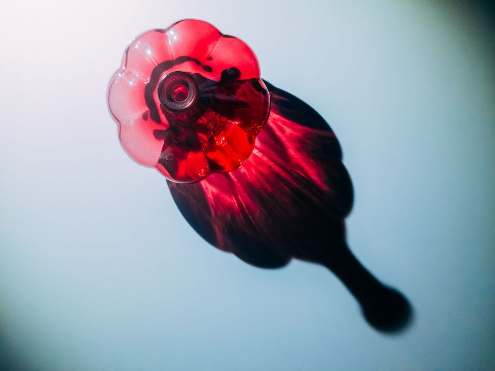 Photograph by Александра Пургаева