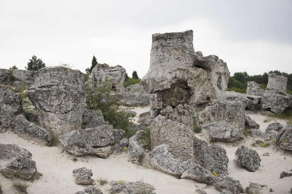 Photograph by Nataliia Nedelina