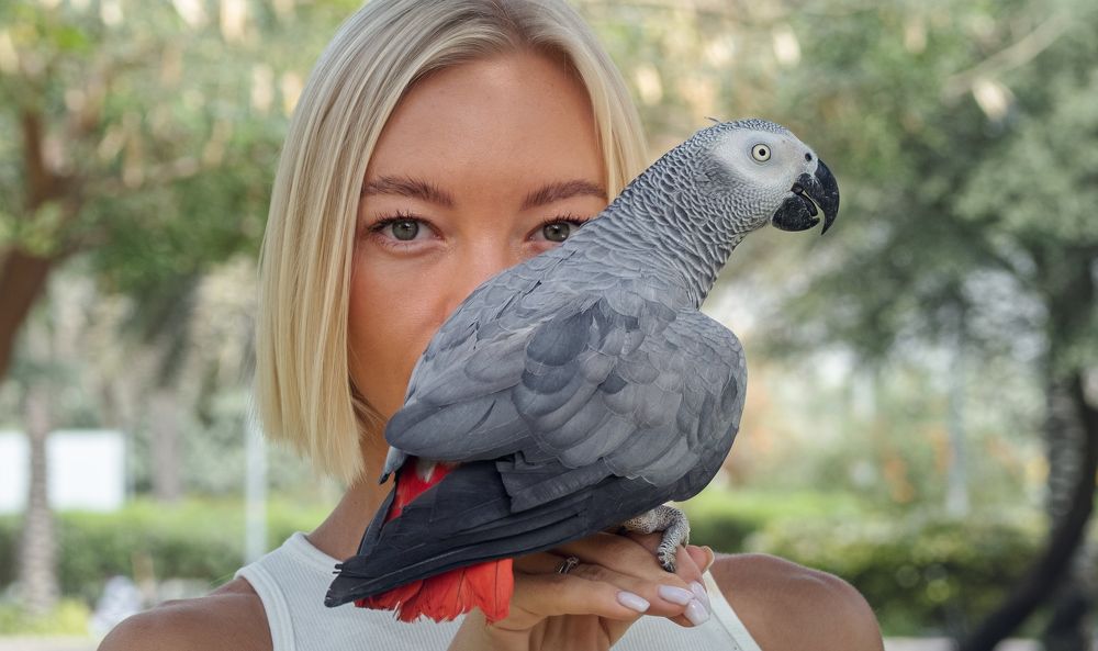 Photograph by Екатерина Ковшова