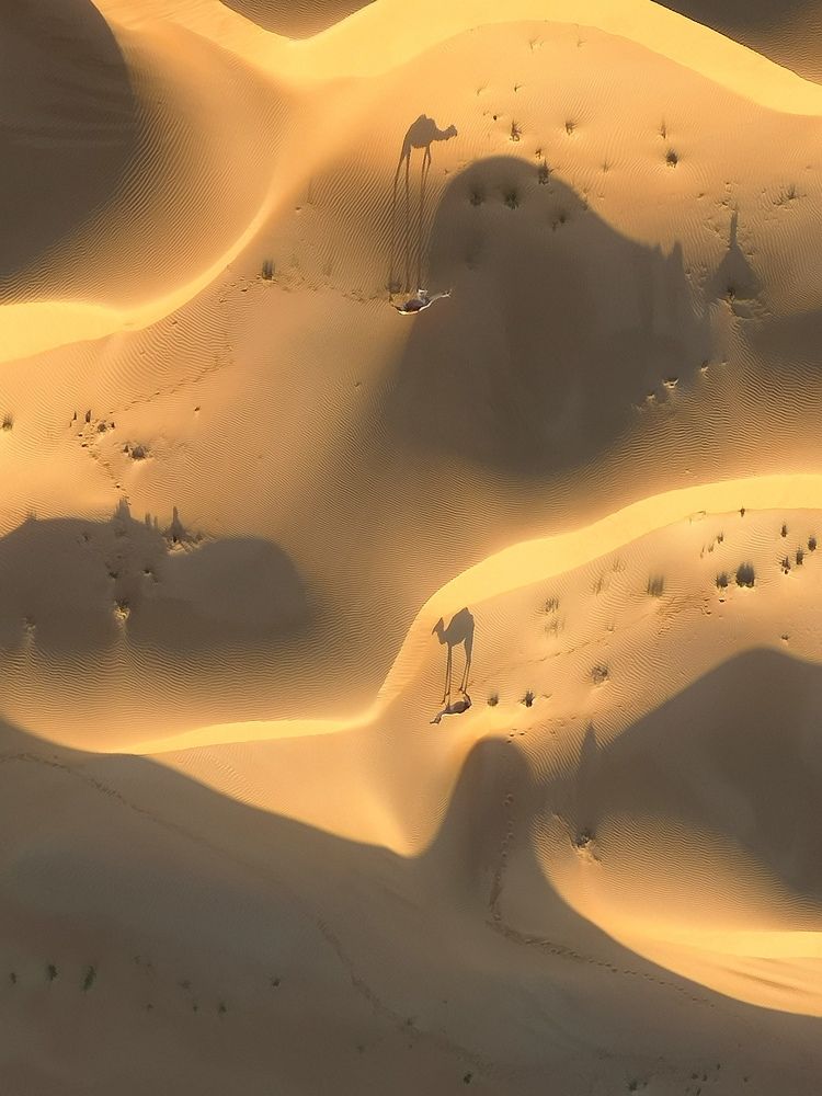 Photograph by Екатерина Ковшова