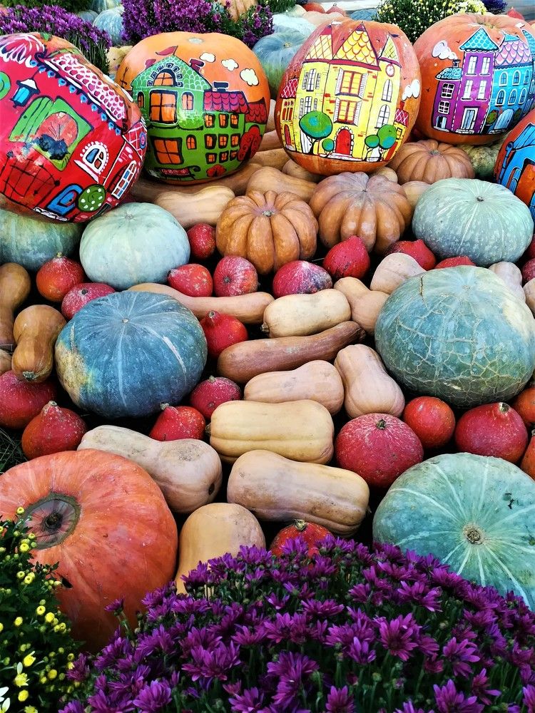 Photograph by людмила