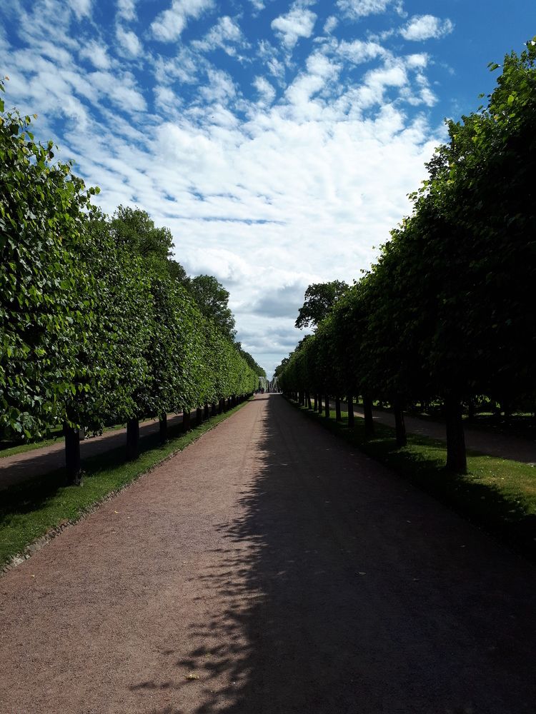 Фотография автора Владимир Строченков
