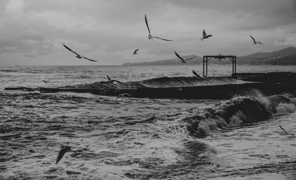 Photograph by Дмитрий Забуга