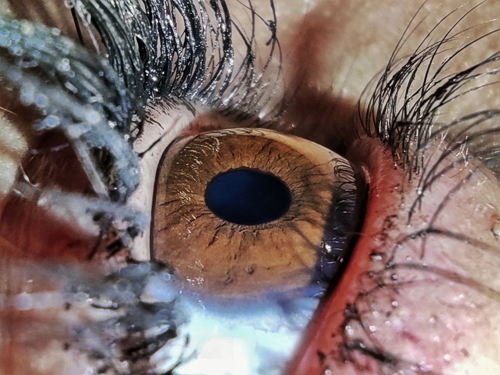 Photograph by Sherko Bahmani