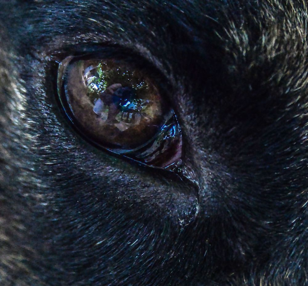 Mi reflejo en el Ojo