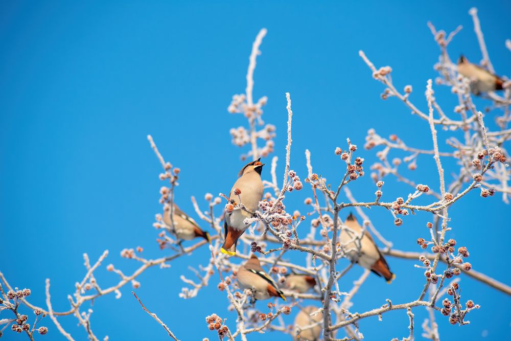 Photograph by Елена Невидимова