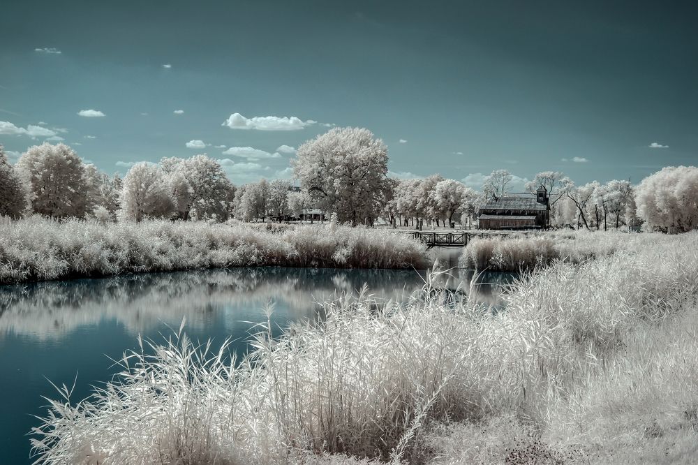 Photograph by Robert Oldakowski