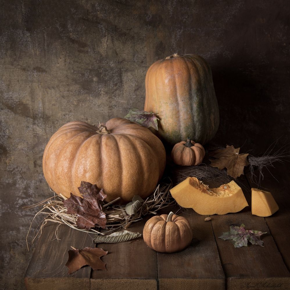 Photograph by Aml Aboutaleb