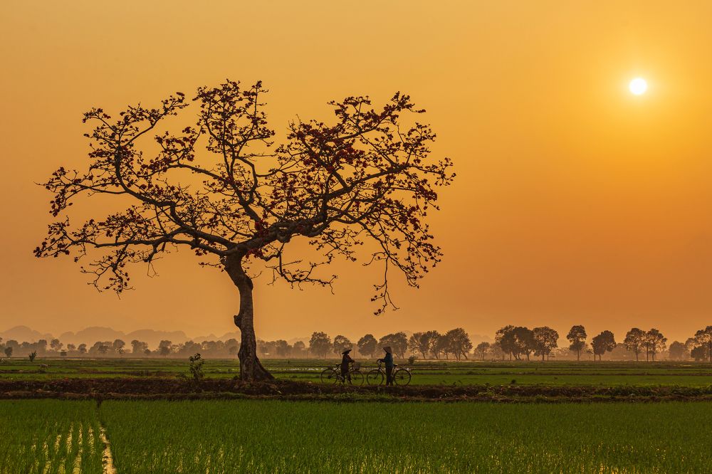 Photograph by Anh Tuấn Trần