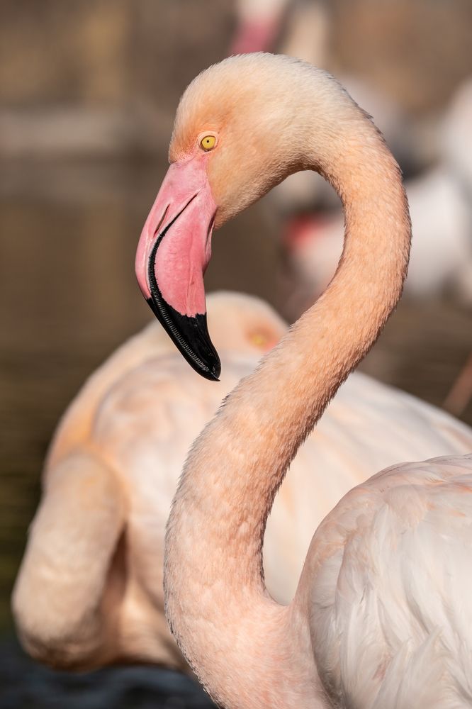 Фотография автора Prejul Prakash