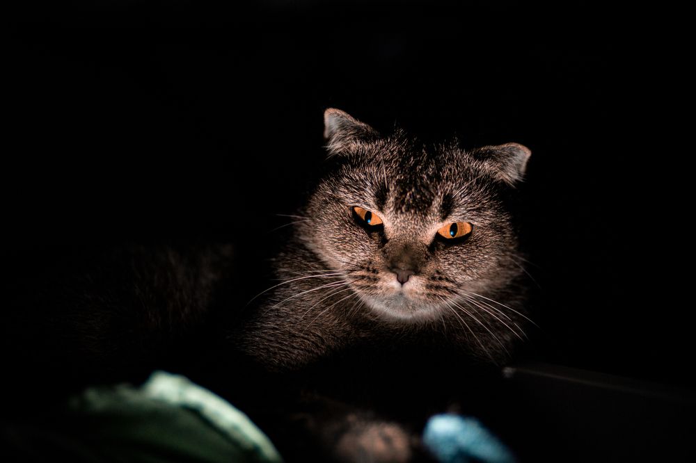 Photograph by Михаил Полянский