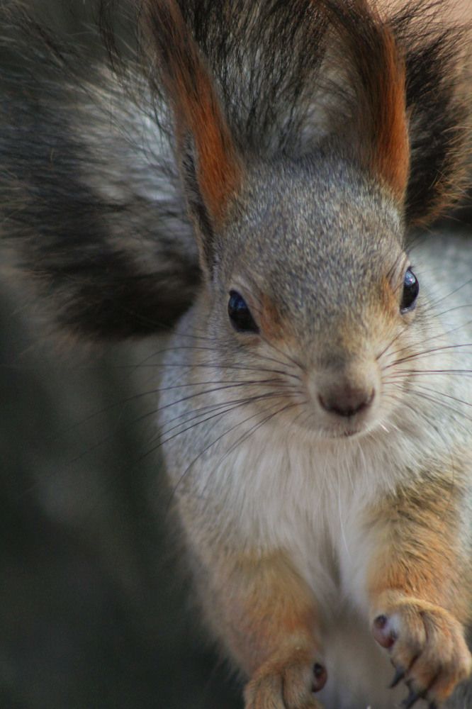 Photograph by Elena Khalizova