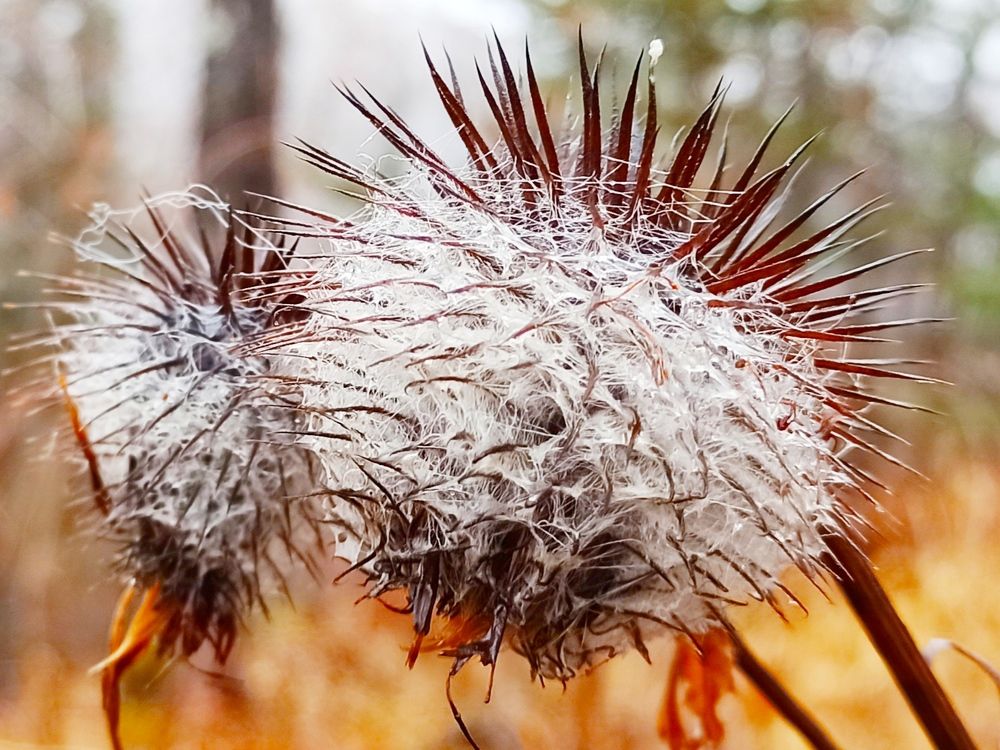 Photograph by Василий Садовский