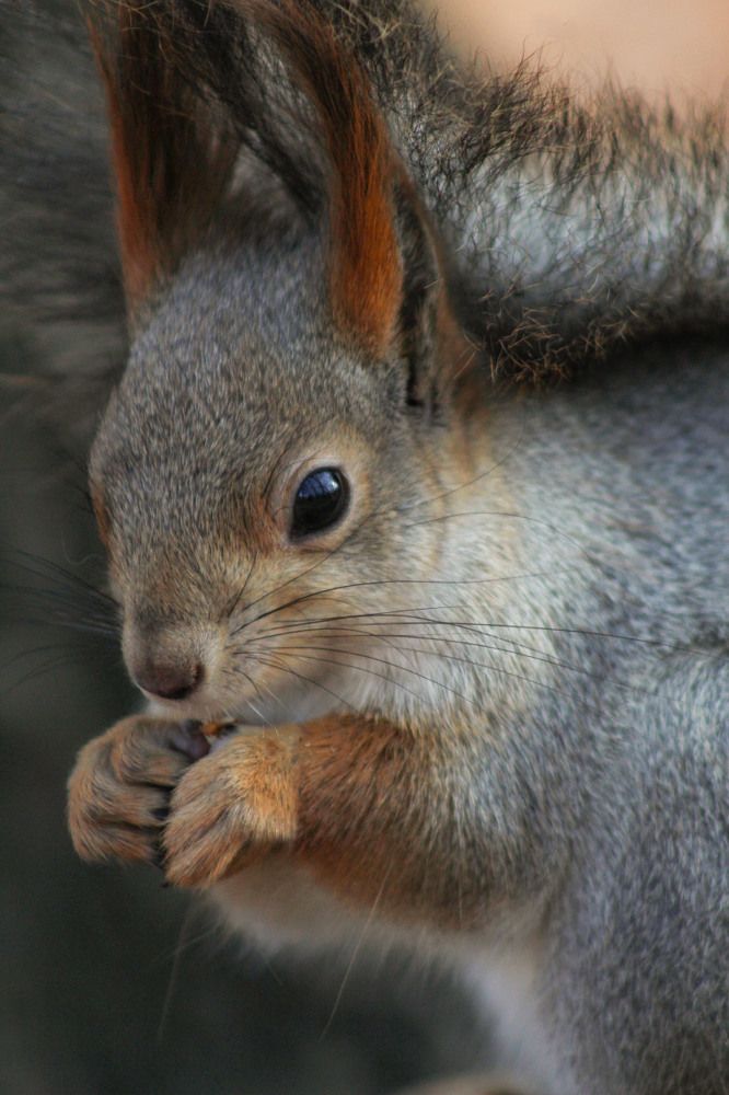 Photograph by Elena Khalizova