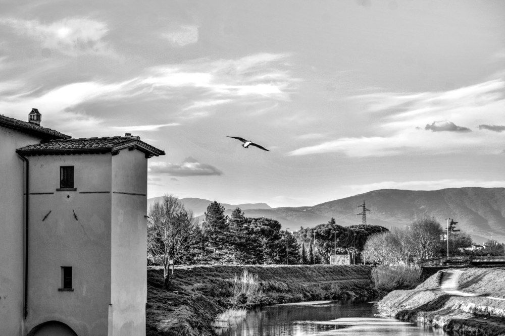 Photograph by SIMONE CIULLI