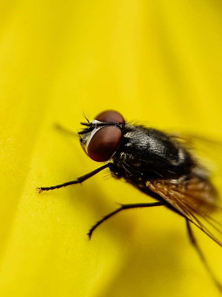 Фотография автора Irshad Alam