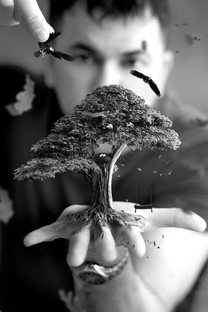 Photograph by Лозгачев Алексей