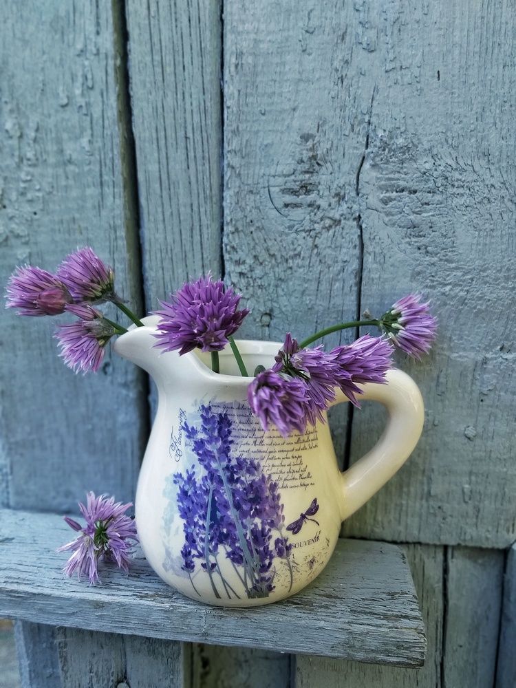 Photograph by Вера Родионова