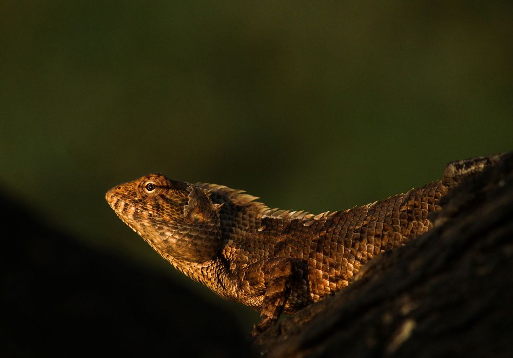 Photograph by Kapilesh Gujarathi