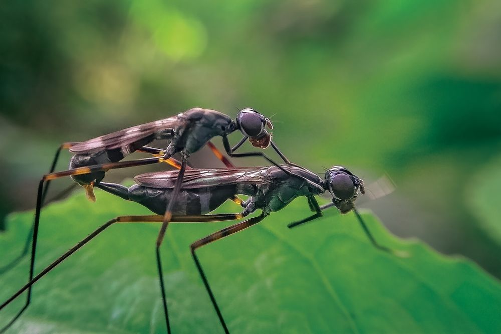 Photograph by Photography Debroto