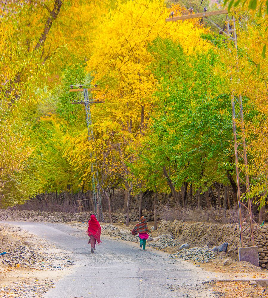 Фотография автора Fawad Hashmi