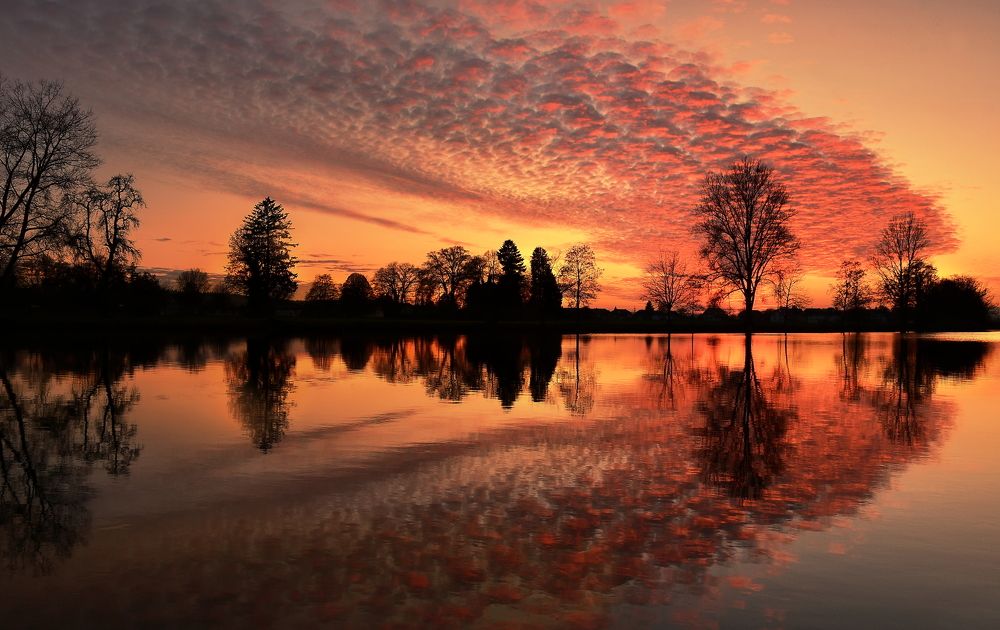 Photograph by Elena Wymann