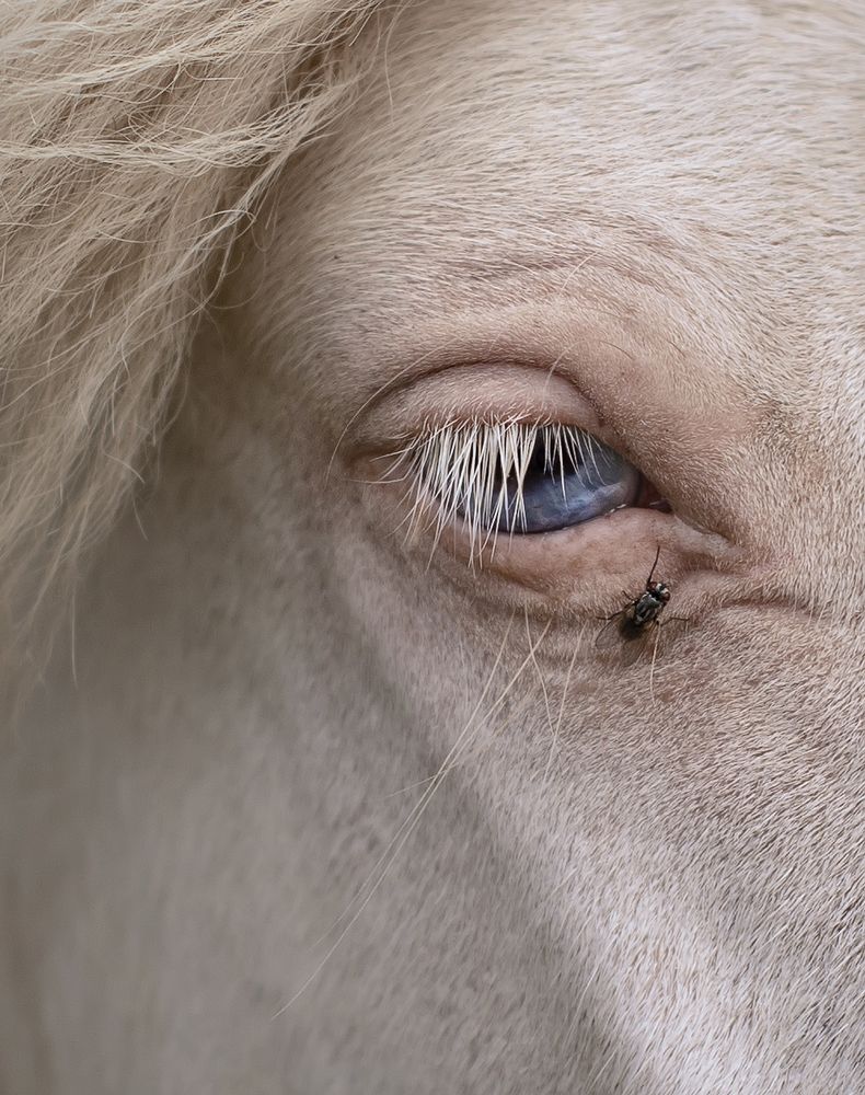 Photograph by Тарасова Ольга