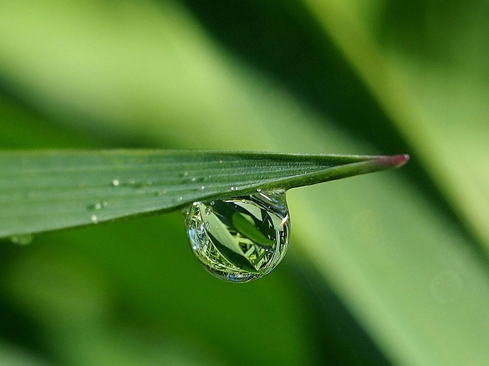 Звонкое лето