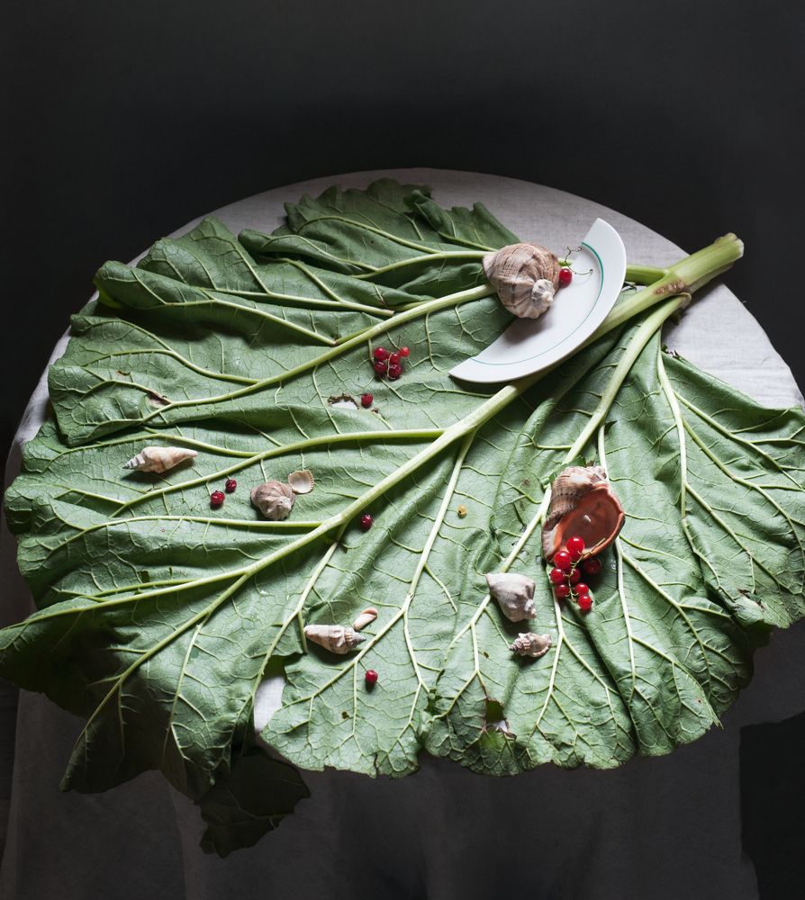 Фотография автора Елена Хазина