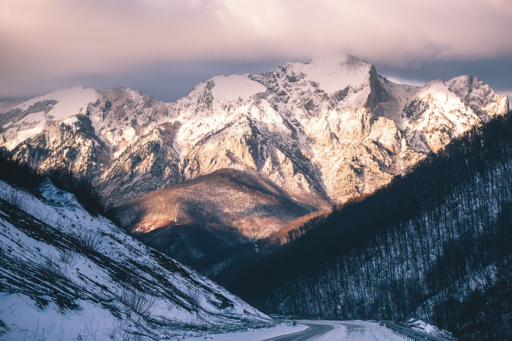 Photograph by SVETLANA BONDAREVA