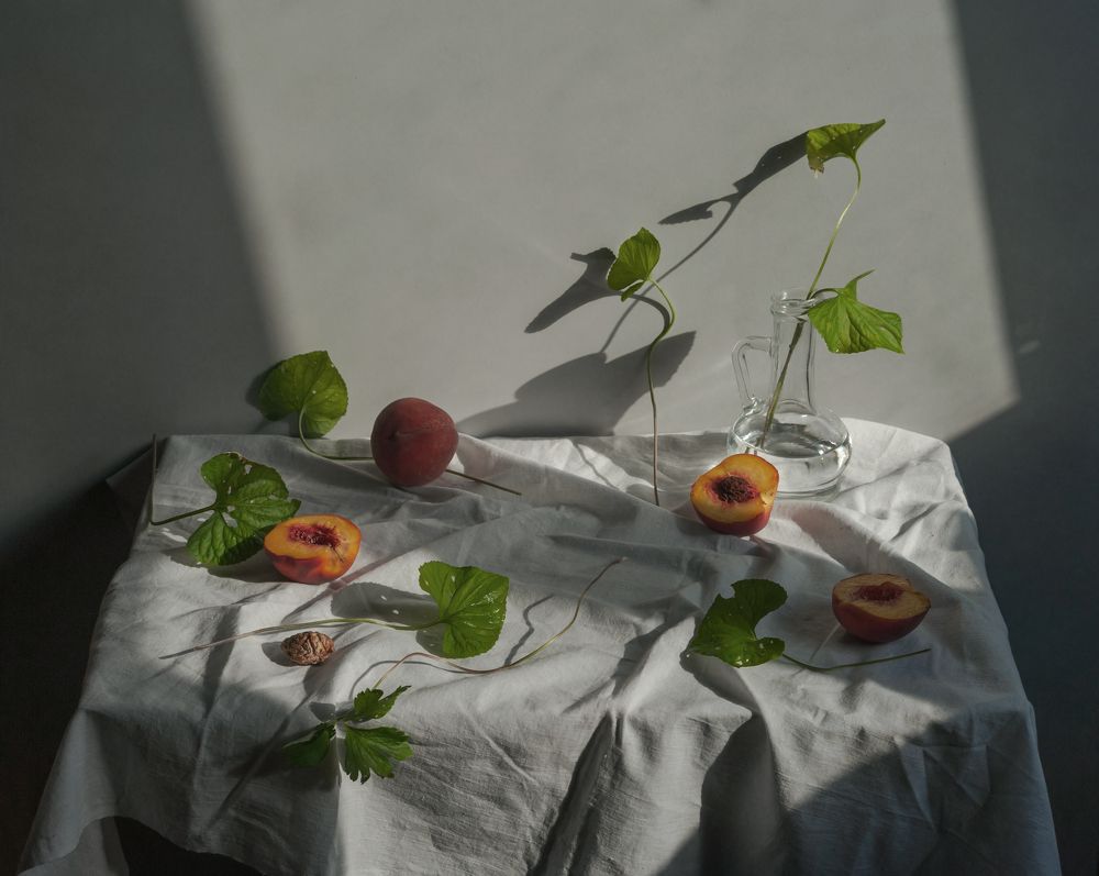 Фотография автора Елена Хазина