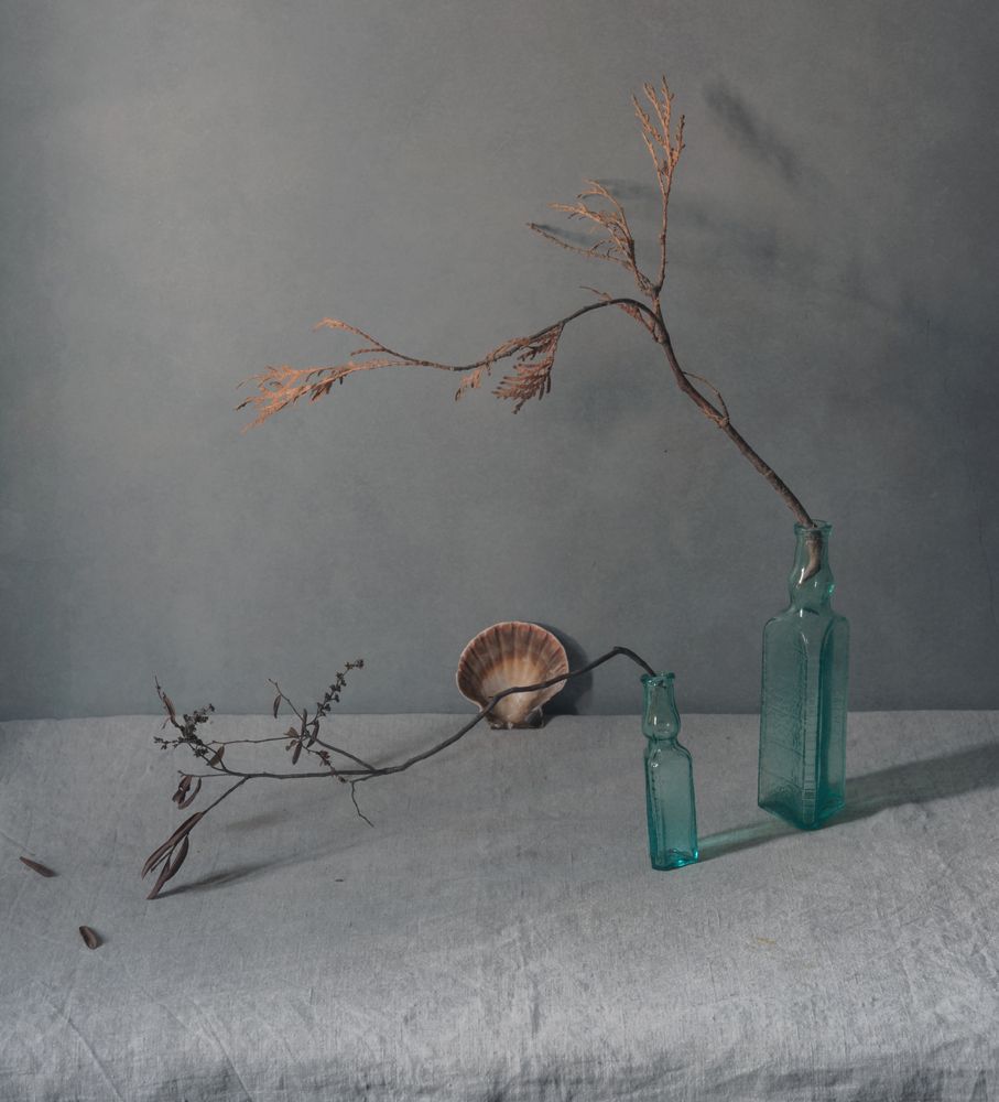 Фотография автора Елена Хазина