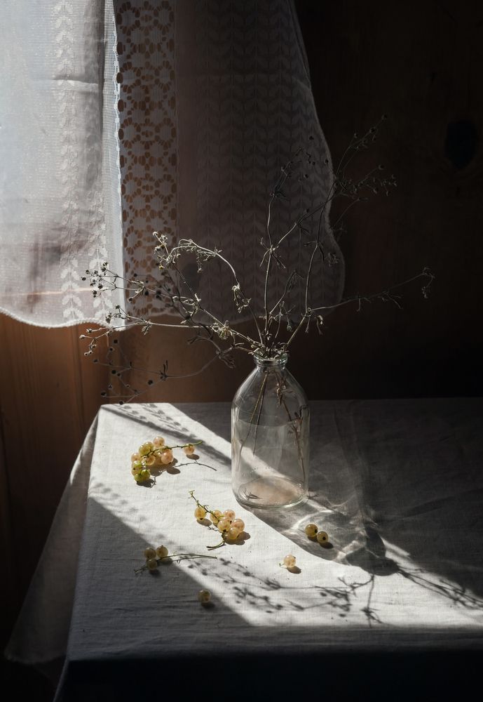 Фотография автора Елена Хазина