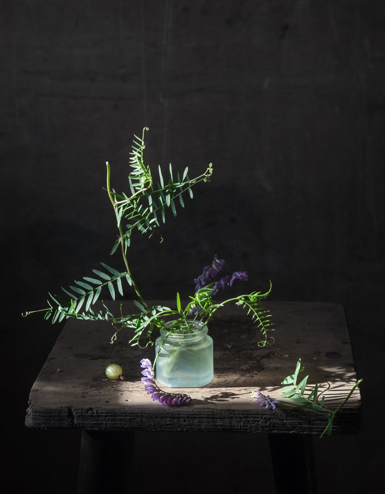 Фотография автора Елена Хазина