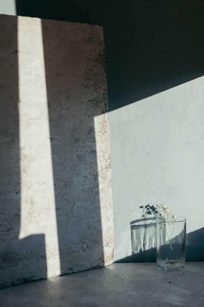 Фотография автора Елена Хазина