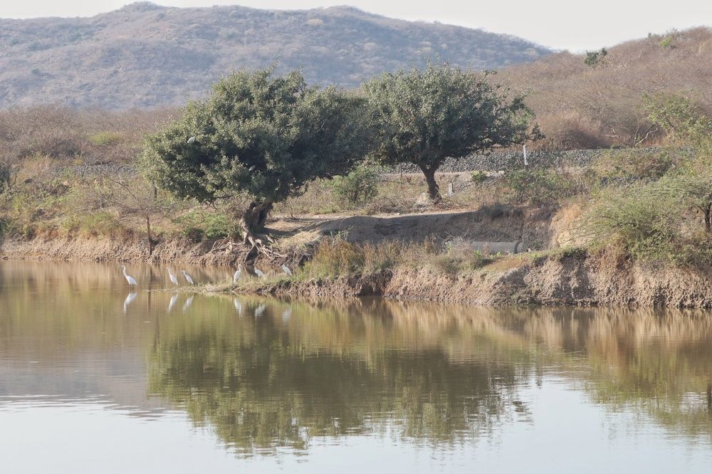 Photograph by Bapodara Sugha