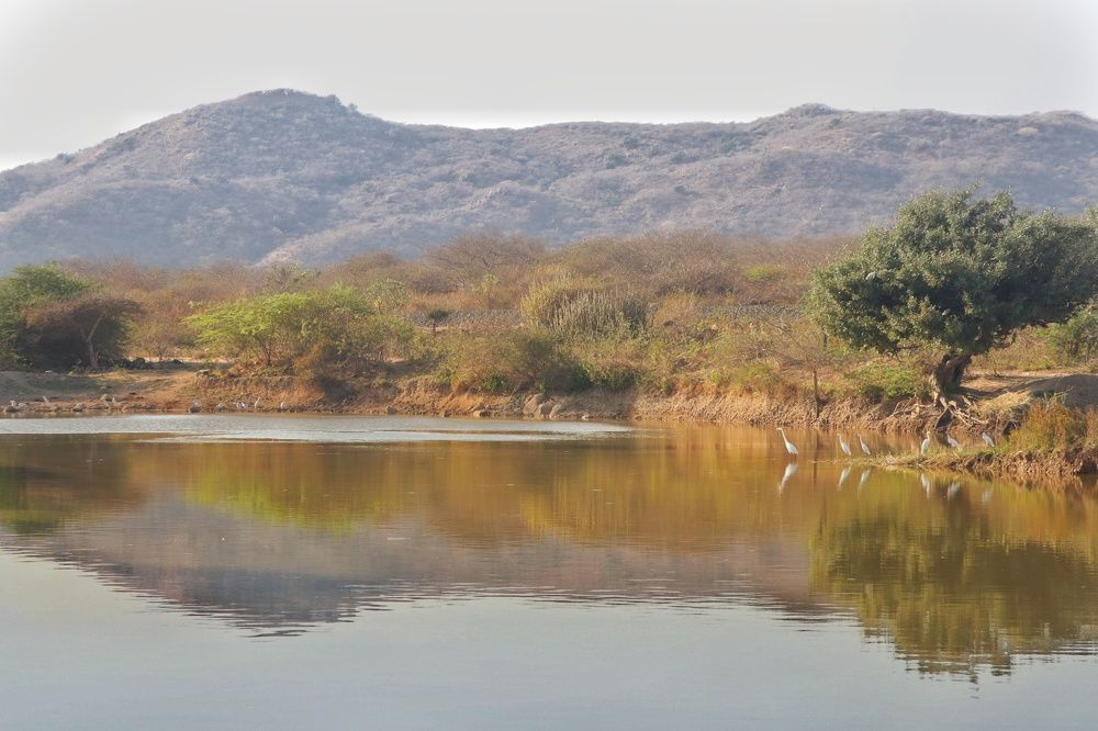 Photograph by Bapodara Sugha