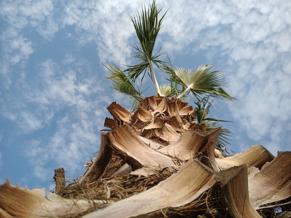 كردستان العراق اربيل